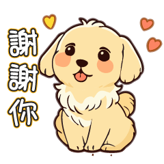 波波黃金犬【吃飯日常用語】