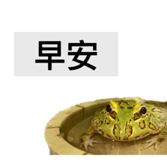 蛙哩貼圖第一彈！