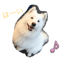 kana_20230905153435