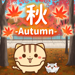 Autumn is coming! Neko-chan Hum-chan
