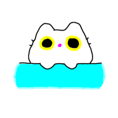 Cute cat_20230905132302