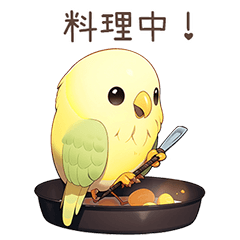 Caique parrot's Moments (Japanese)