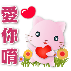 Cute pink cat-frequently used phrases