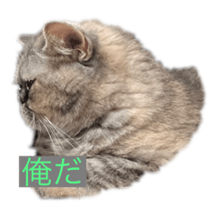 Chiyo_20230905194023