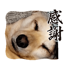 hana_20230905194121