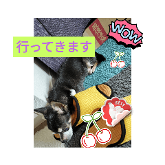 Smile_20230905202053