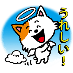 A cat that became an angel. Japanese