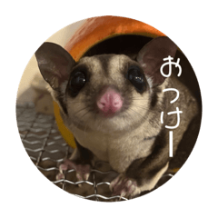 nanamin_20230906004701