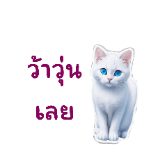 parinya.b_20230905150317