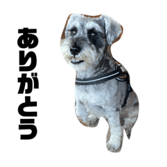 shiraishi3_20230905215328