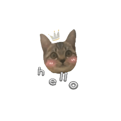 hi_20230905160420