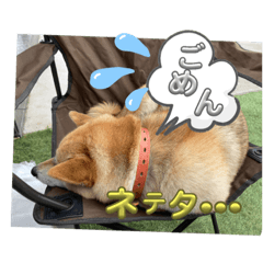 HANA_20230906120624