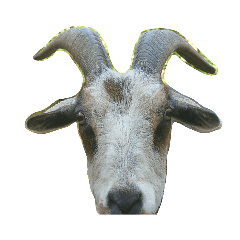 YATARO_IZUKOUGE