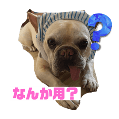 minorin_20230906130708