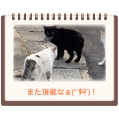 kero_25