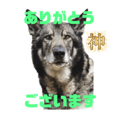 Kana_20230906125000