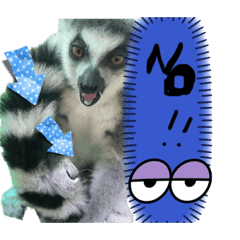 natsumi_20230905225947