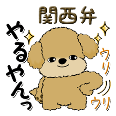 プードル犬『関西弁』