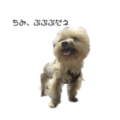 BOTI dayo
