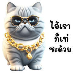 Simok Funny cat (THAI)