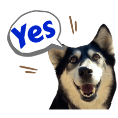 Sakura_20230905162012