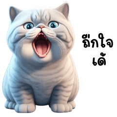 Simok Funny cat (E-San)