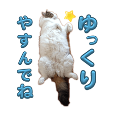 suzu_20230906154823