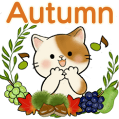 Heartwarming cat (Autumn greetings)