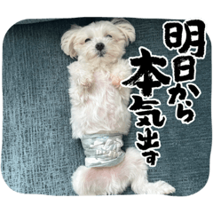 Nao_20230906163415