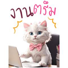 cute white cat good job working cat – LINE stickers | LINE STORE