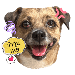 Munznie Family_20230906192007