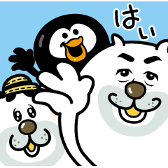 Polar bears. Hi! -Japanese