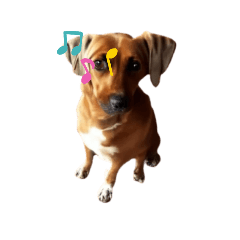 Juan pablo_20230907004522