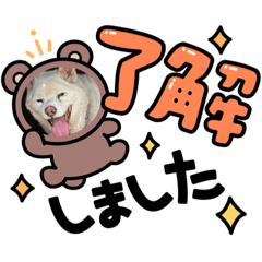 kana_20230906232047