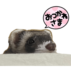 nao_20230907124850