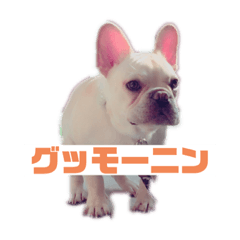 minorin_20230906191424