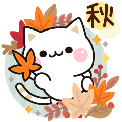 Cat to concern (autumn popup)