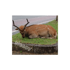 Animal stamp Nara deer