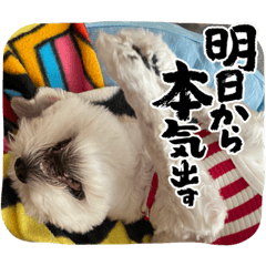 Nao_20230907075207