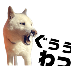 身内しか使わんふゆスタンプ