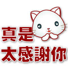 cute white cat-Frequently used phrases