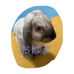 Jiji Uta