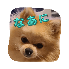 yukari_20230907151412