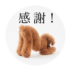 sakura_20230907122250