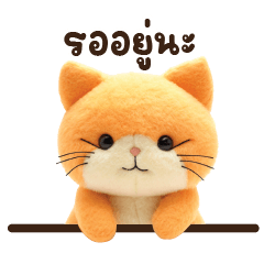 Cute Soft Cat - Everyday words
