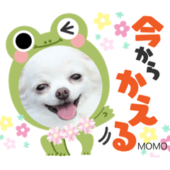 sakura_20230907193310