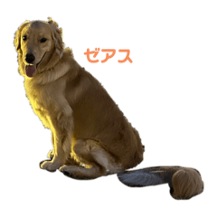 a.noriko_20230907193826