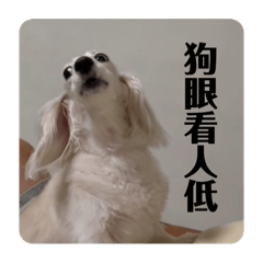 Cathy_20230907193430 – LINE stickers | LINE STORE