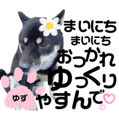 junjun_20230907220111