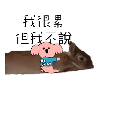 兔兔的日常生活（×_×）